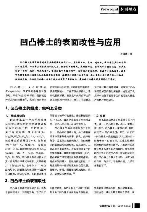 凹凸棒土的表面改性与应用