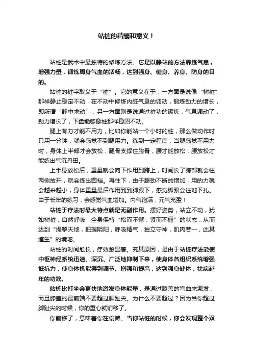 站桩的精髓和意义！