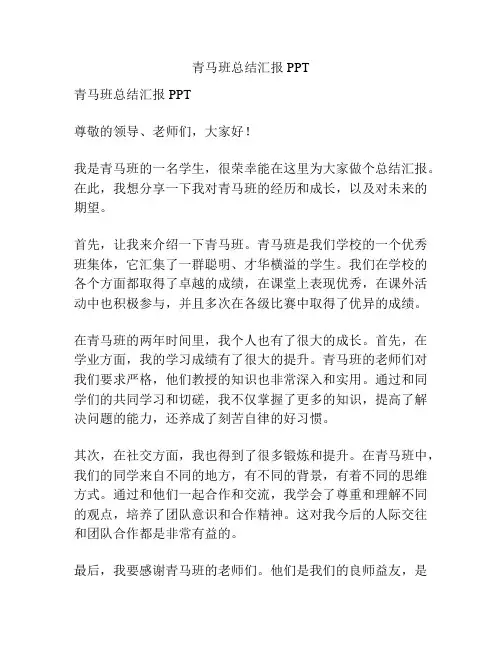 青马班总结汇报PPT