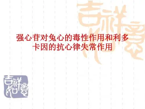 强心苷对兔心的毒性作用和利多卡因的抗心律失常作用