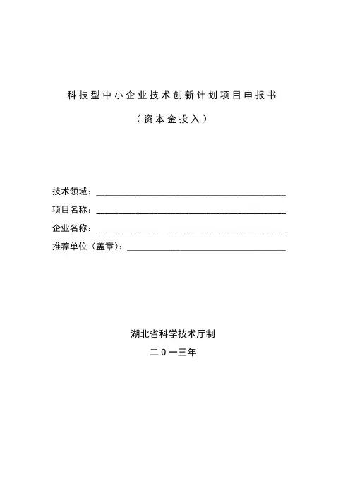科技型中小企业技术创新计划项目申报书