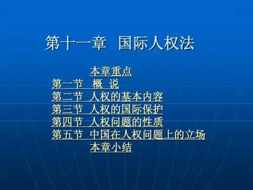 第十一章  国际人权法