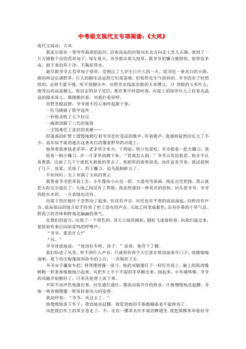 中考语文现代文专项阅读《大风》