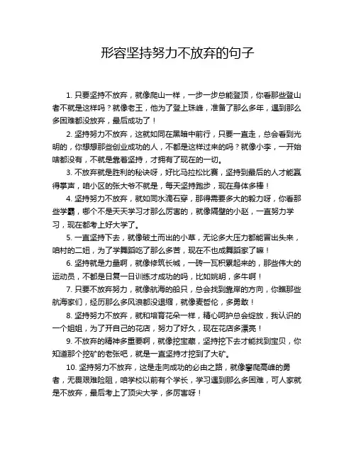 形容坚持努力不放弃的句子