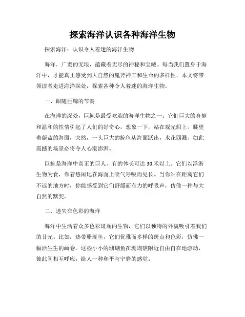 探索海洋认识各种海洋生物