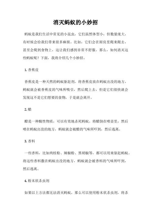 消灭蚂蚁的小妙招