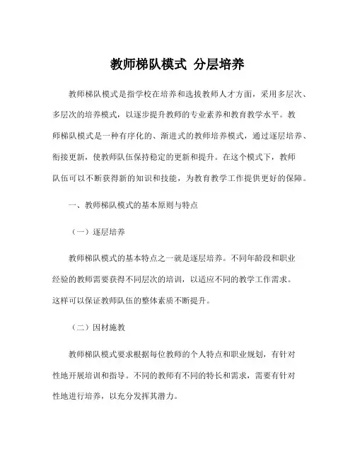 教师梯队模式 分层培养