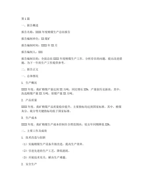 精煤年度总结报告模板范文(3篇)