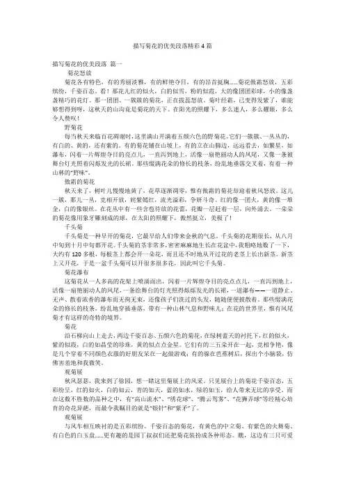 描写菊花的优美段落精彩4篇