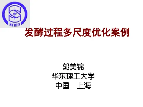发酵过程多尺度优化案例分析(郭美锦)