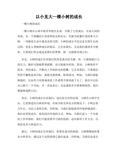 以小见大一棵小树的成长