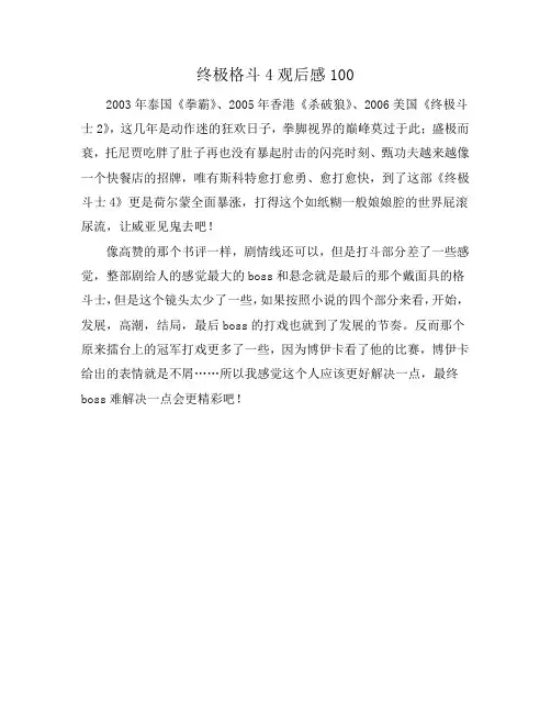 终极格斗4观后感100