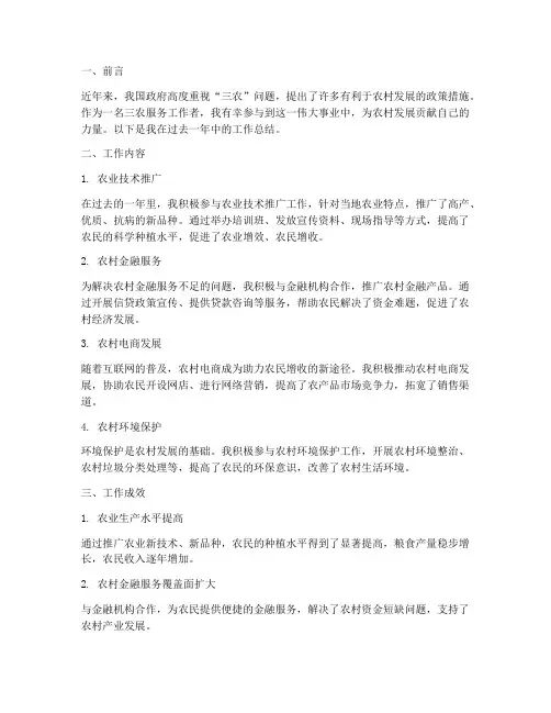 三农_服务个人工作总结
