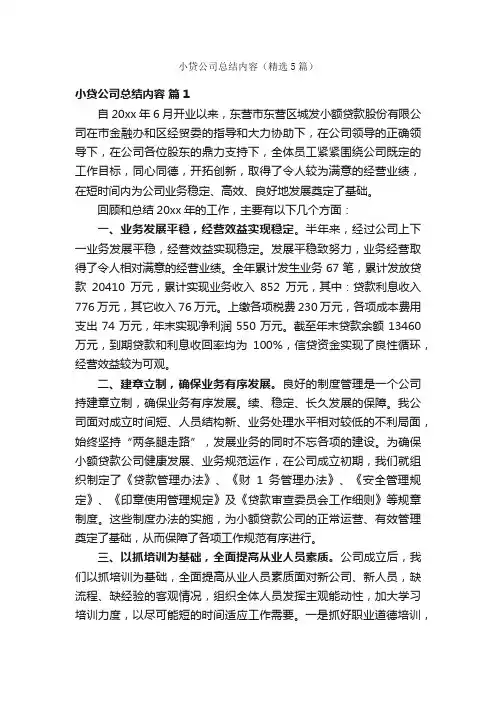 小贷公司总结内容（精选5篇）