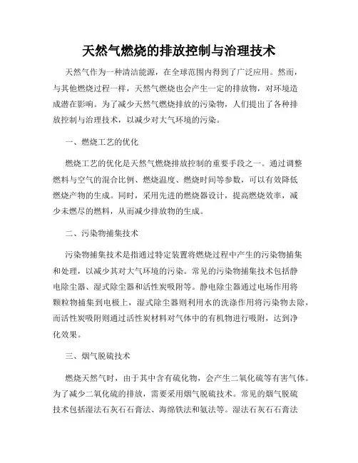 天然气燃烧的排放控制与治理技术