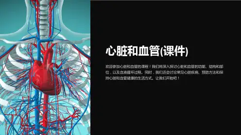 心脏和血管(课件)