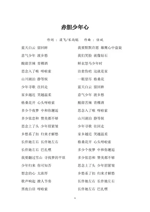 《赤胆少年心》歌词