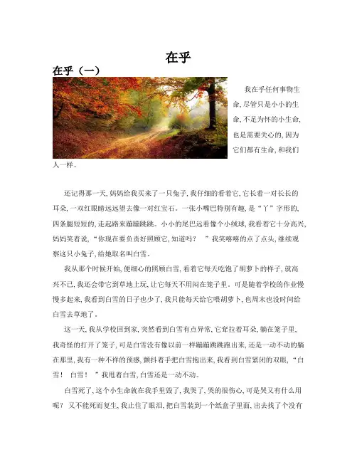 在乎(共10篇)