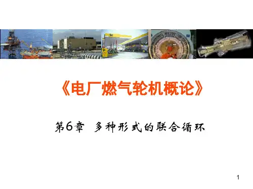 多种形式的联合循环