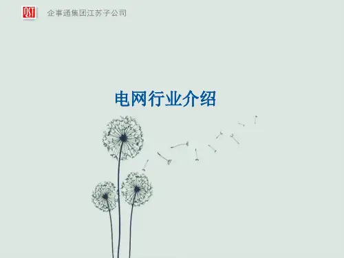 国家电网市局组织架构图(教学PPT)