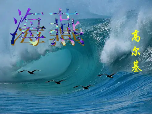 《海燕》优秀ppt课件
