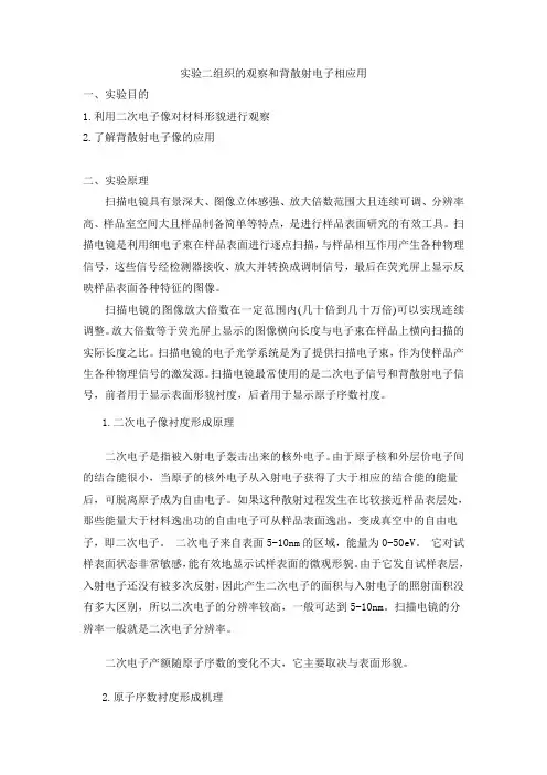 实验二组织的观察和背散射电子相应用