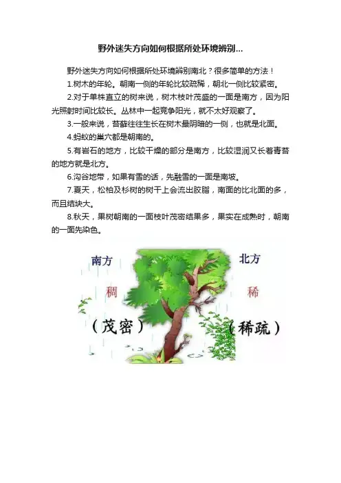 野外迷失方向如何根据所处环境辨别...