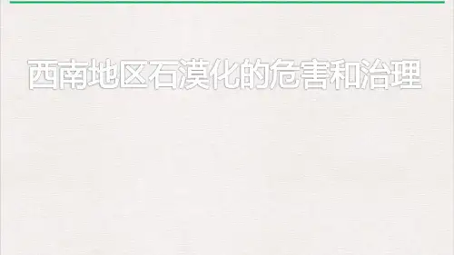 西南地区石漠化的危害和治理