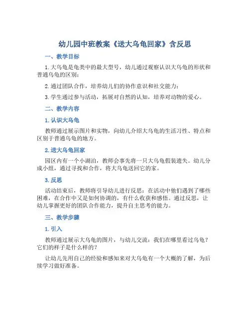 幼儿园中班教案《送大乌龟回家》含反思