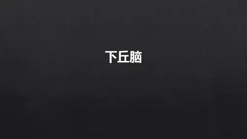 下丘脑  