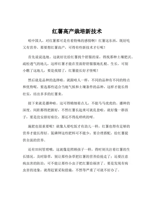 红薯高产栽培新技术