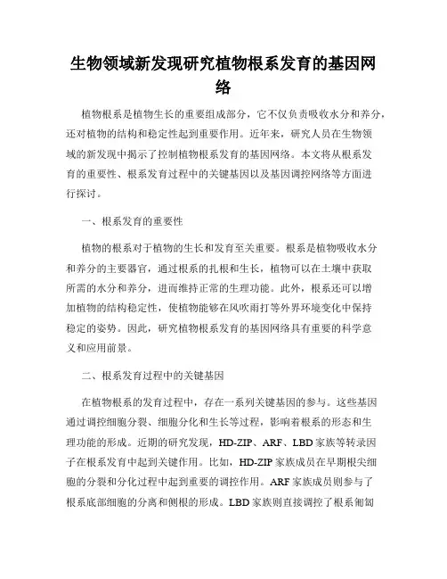 生物领域新发现研究植物根系发育的基因网络