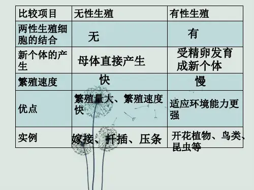 昆虫的生殖和发育-课件