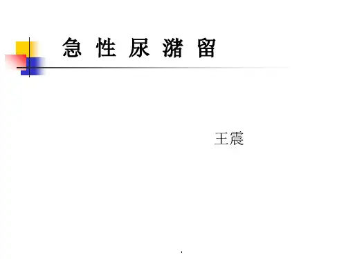 急性尿潴留完整版本