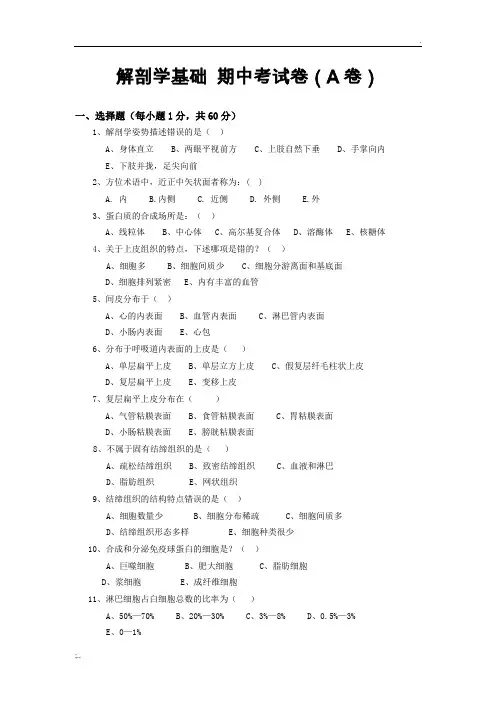 解剖学基础 期中考试卷