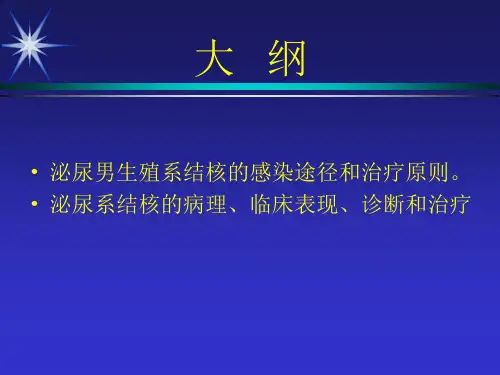 泌尿生殖系统结核资料