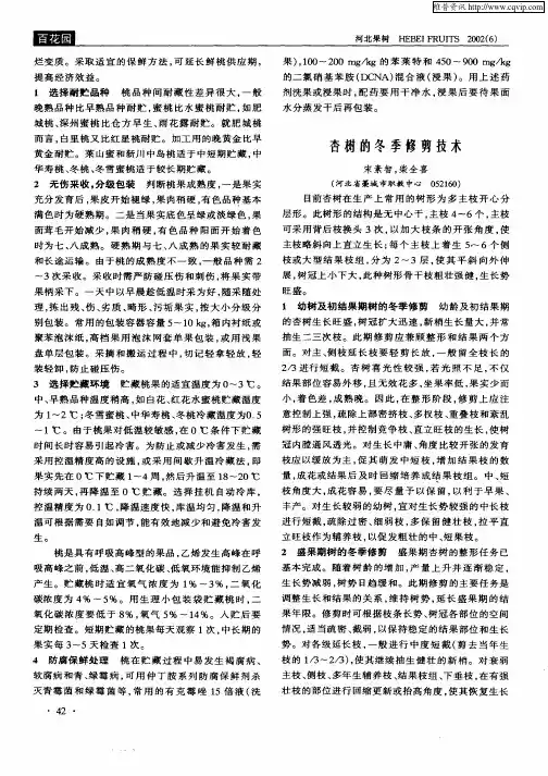 杏树的冬季修剪技术