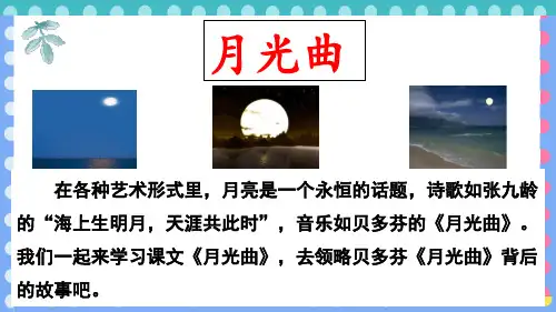 部编版六年级上册《月光曲》一等奖 课件