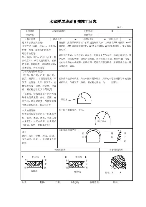 隧道地质素描资料