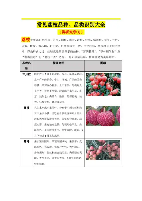 荔枝品种、品类识别大全