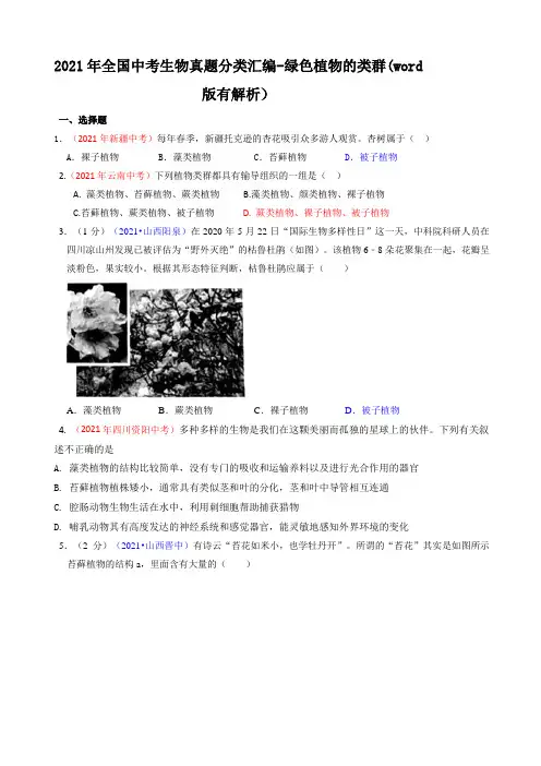 2021年全国中考生物真题分类汇编-绿色植物的类群(word版有解析)