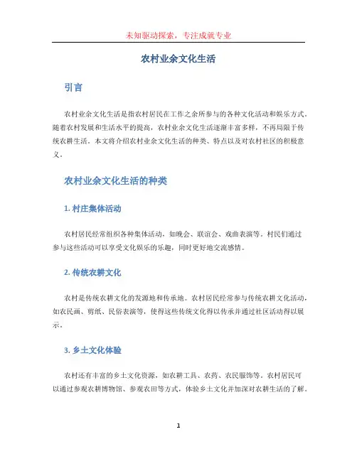 农村业余文化生活 (2)