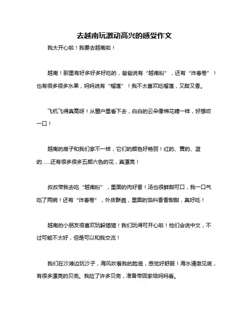 去越南玩激动高兴的感受作文
