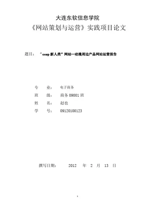 东软电子商务网络营销期末作业