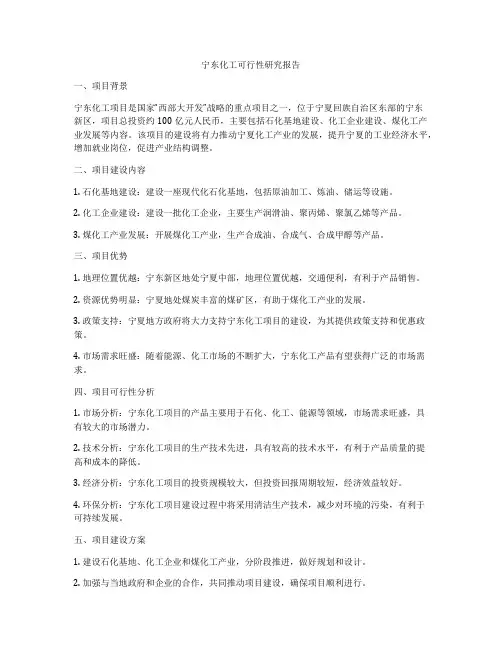 宁东化工可行性研究报告