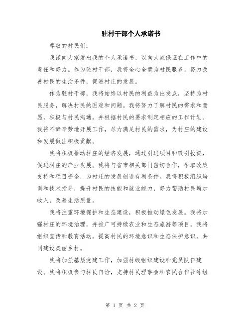 驻村干部个人承诺书