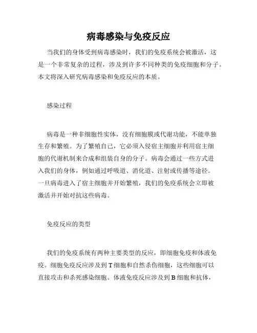 病毒感染与免疫反应