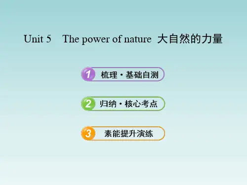 人教版高中英语选修六Unit5 复习课件