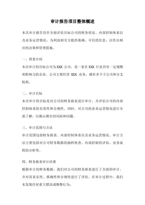 审计报告项目整体概述