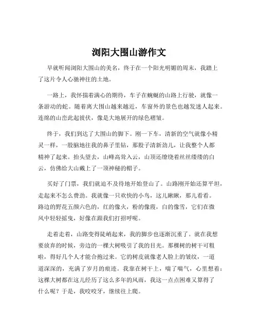 浏阳大围山游作文